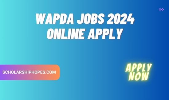 Wapda Jobs 2024 Online Apply